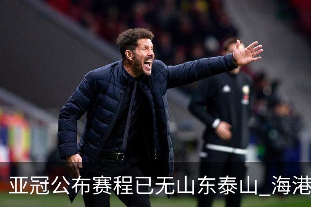 亚冠公布赛程已无山东泰山 海港若递补将赴泰国